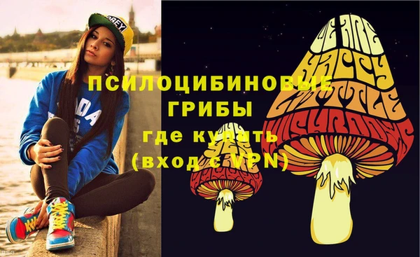 PSILOCYBIN Балахна
