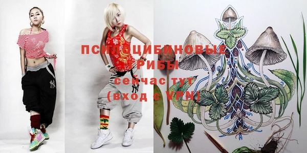 марки nbome Баксан