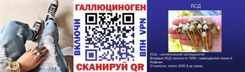 Псилоцибиновые грибы GOLDEN TEACHER  Кириши 